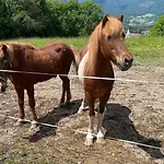 Bea's Bergblick
