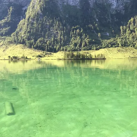 Bea's Bergblick Apartment Bad Reichenhall