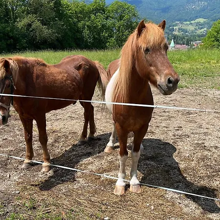 Bea's Bergblick